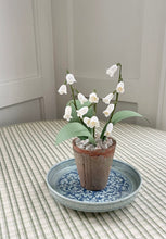 Load image into Gallery viewer, Lily of the Valley