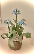 Load image into Gallery viewer, Allium
