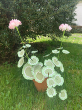 Paper Geranium - Large select your colors