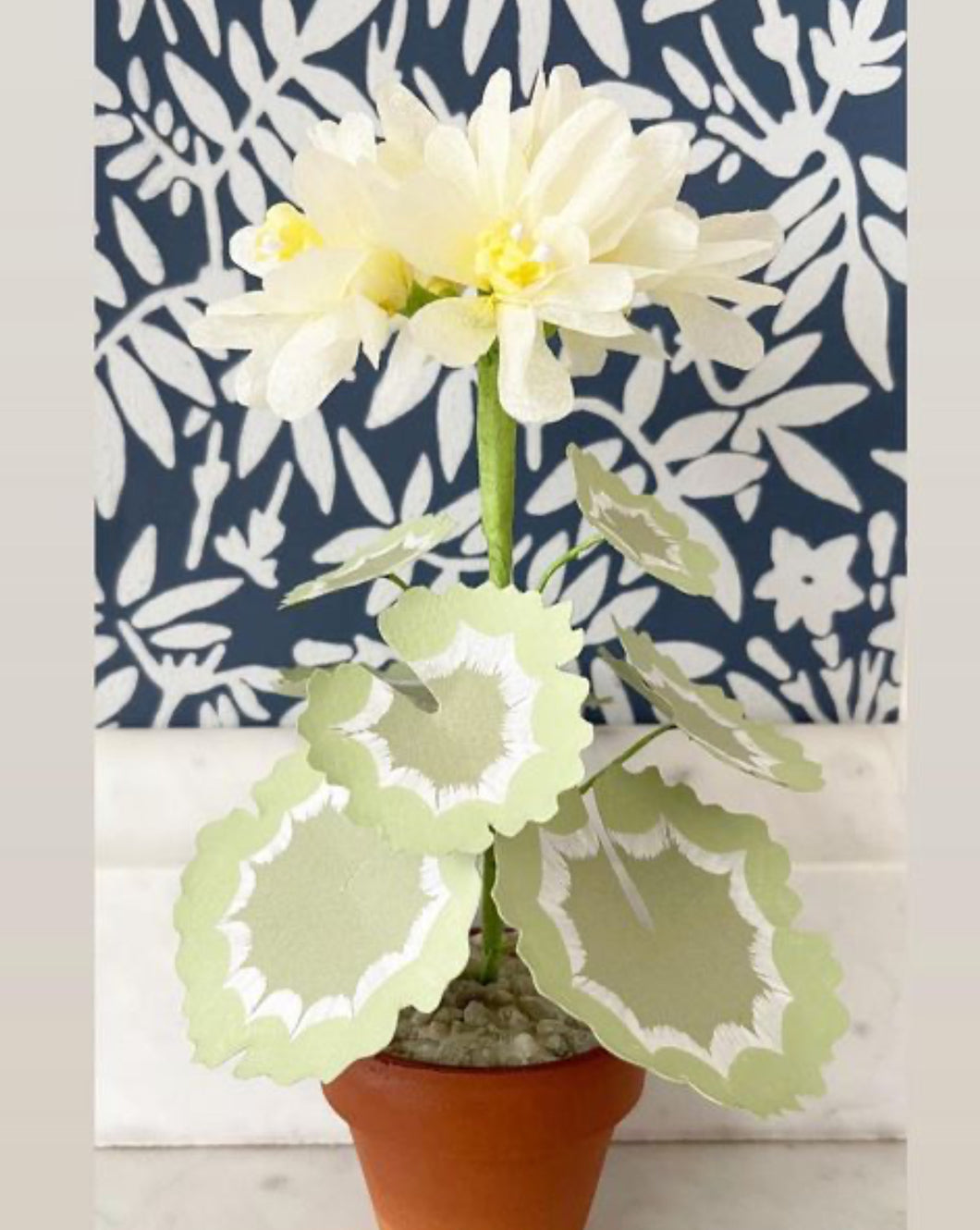 Paper Geranium - Small yellow blossom with moss and mint leaves