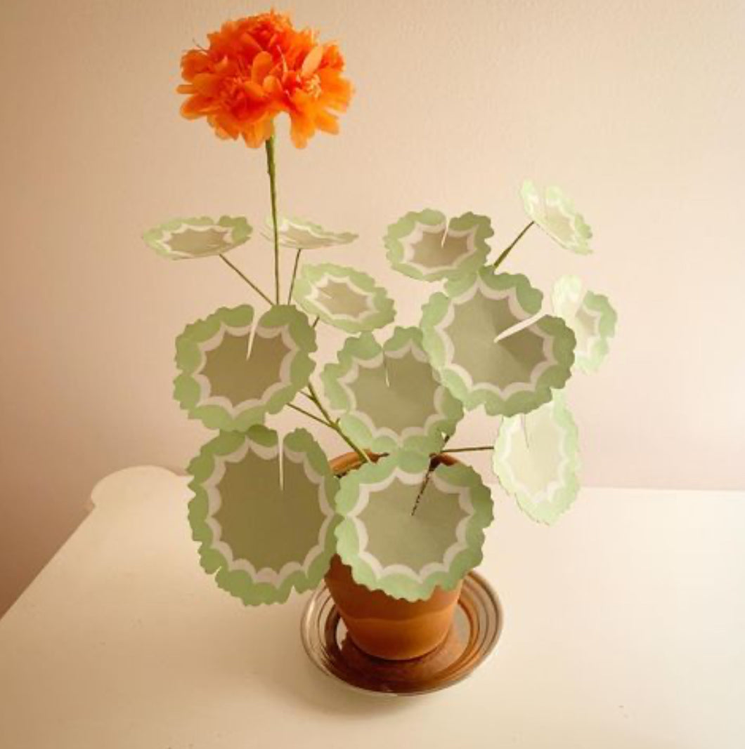 Paper Geranium - clementine blossom with mint and moss leaves