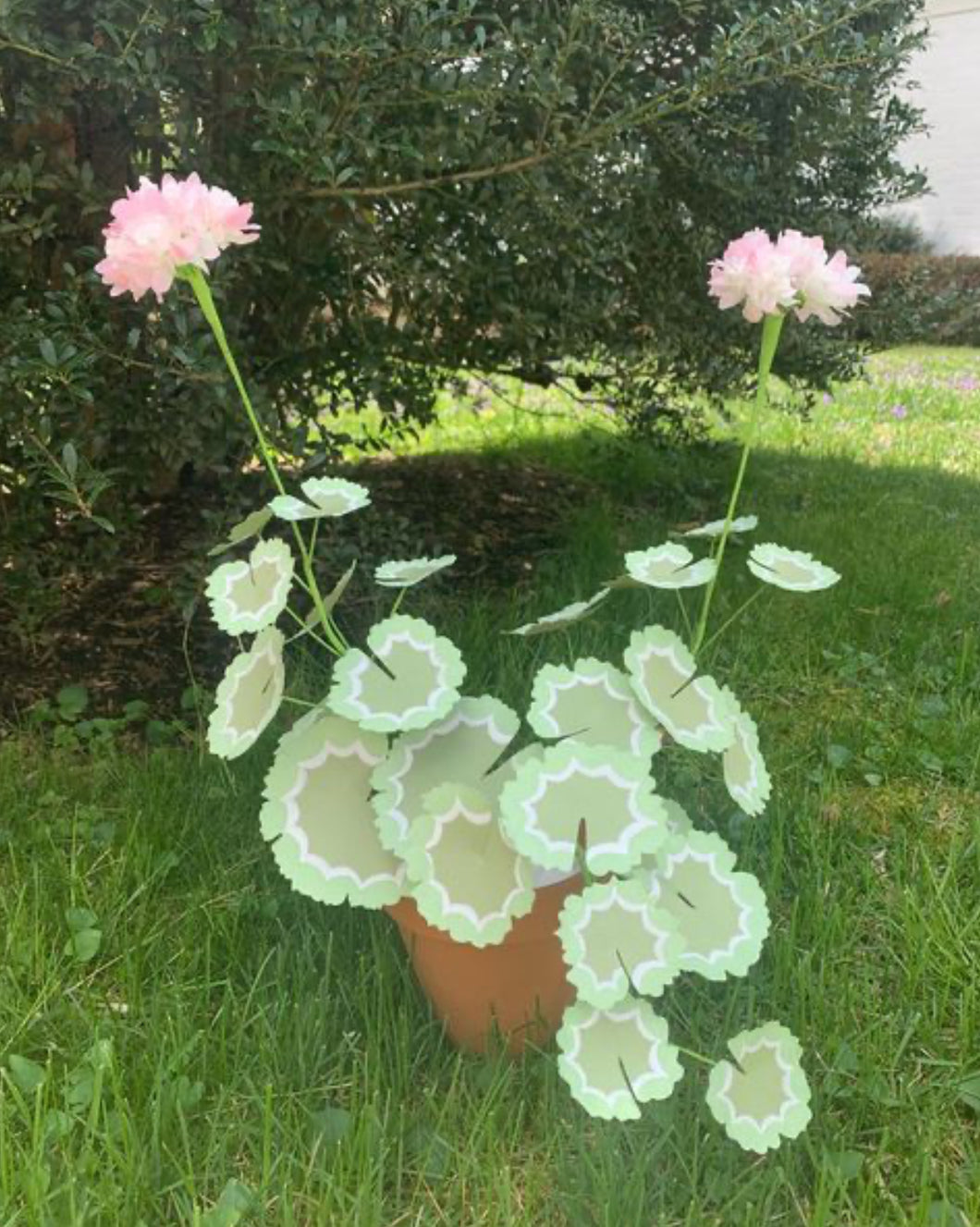 Paper Geranium - large apple blossoms with moss and mint leaves