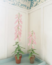 Load image into Gallery viewer, Paper Foxglove - Small
